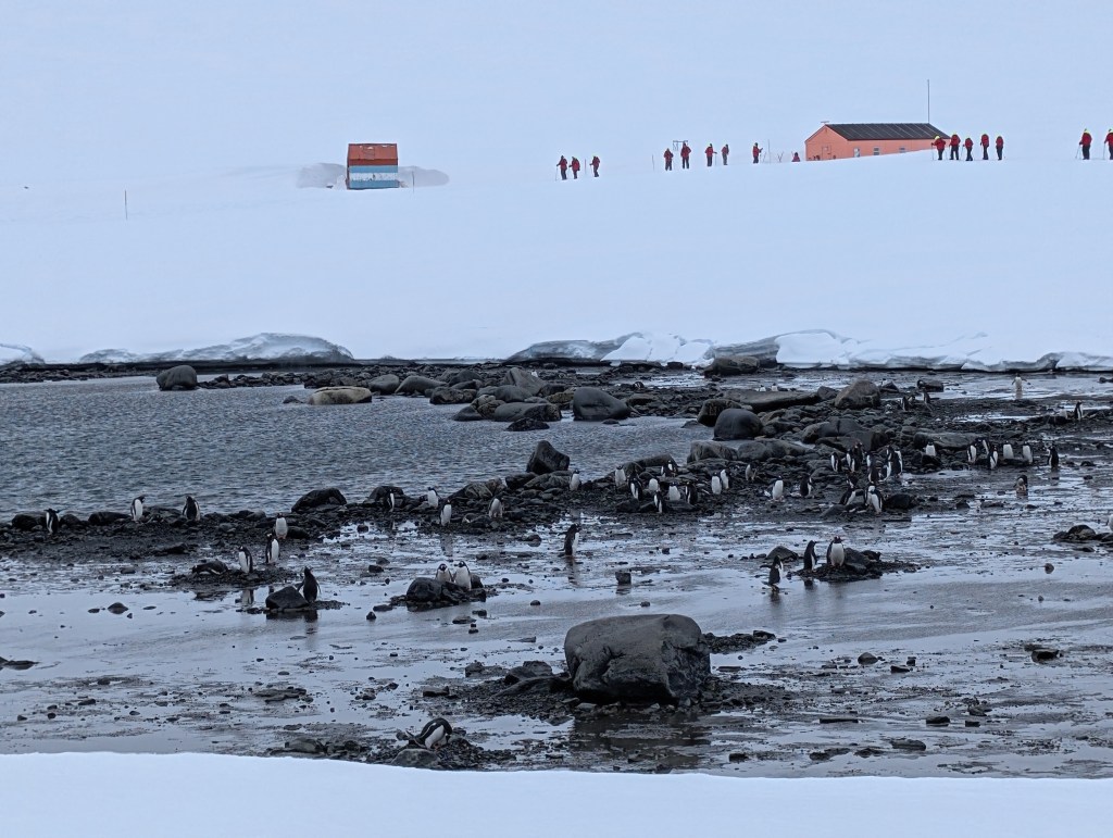 Damoy Point Landing&nbsp;(11-27-24)